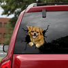 [th0282-snf-tpa]-tibetan-crack-car-sticker-dogs-lover