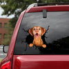 [th0276-snf-tpa]-vizsla-crack-car-sticker-dogs-lover