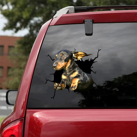 [da0295-snf-tnt]-dachshund-crack-car-sticker-dogs-lover