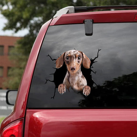 [da0296-snf-tnt]-dachshund-crack-car-sticker-dogs-lover