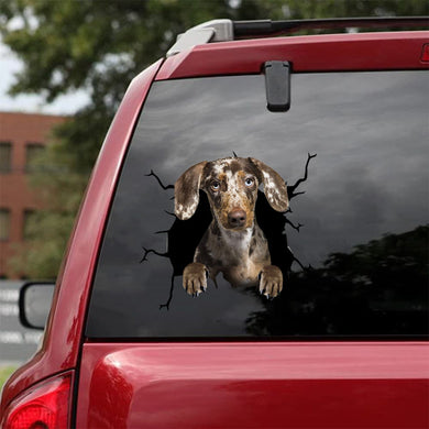 [da0297-snf-tnt]-dachshund-crack-car-sticker-dogs-lover