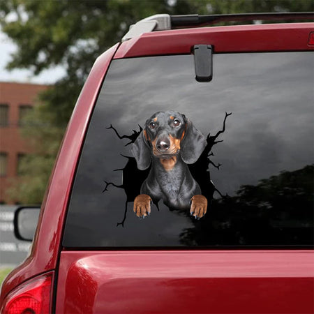 [da0286-snf-tnt]-dachshund-crack-car-sticker-dogs-lover