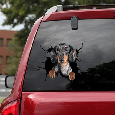 [da0288-snf-tnt]-dachshund-crack-car-sticker-dogs-lover