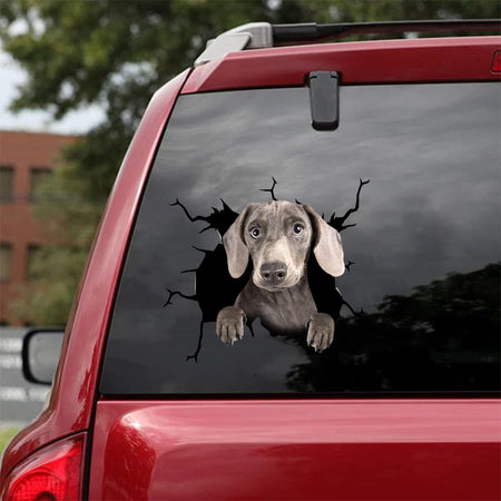 [da0289-snf-tnt]-dachshund-crack-car-sticker-dogs-lover
