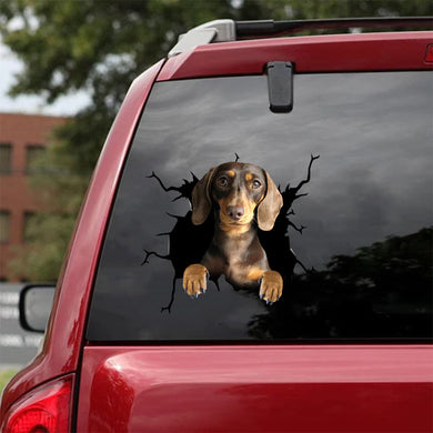[da0290-snf-tnt]-dachshund-crack-car-sticker-dogs-lover