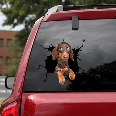 [da0291-snf-tnt]-dachshund-crack-car-sticker-dogs-lover