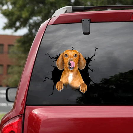[da0292-snf-tnt]-dachshund-crack-car-sticker-dogs-lover