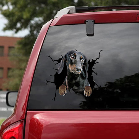 [da0294-snf-tnt]-dachshund-crack-car-sticker-dogs-lover