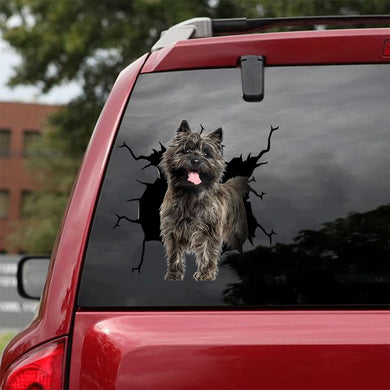 [da1043-snf-lad]-cairn-terriers-crack-car-sticker-dogs-lover