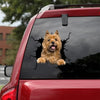 [da1044-snf-lad]-cairn-terriers-crack-car-sticker-dogs-lover