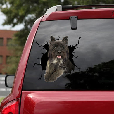 [da1045-snf-lad]-cairn-terriers-crack-car-sticker-dogs-lover