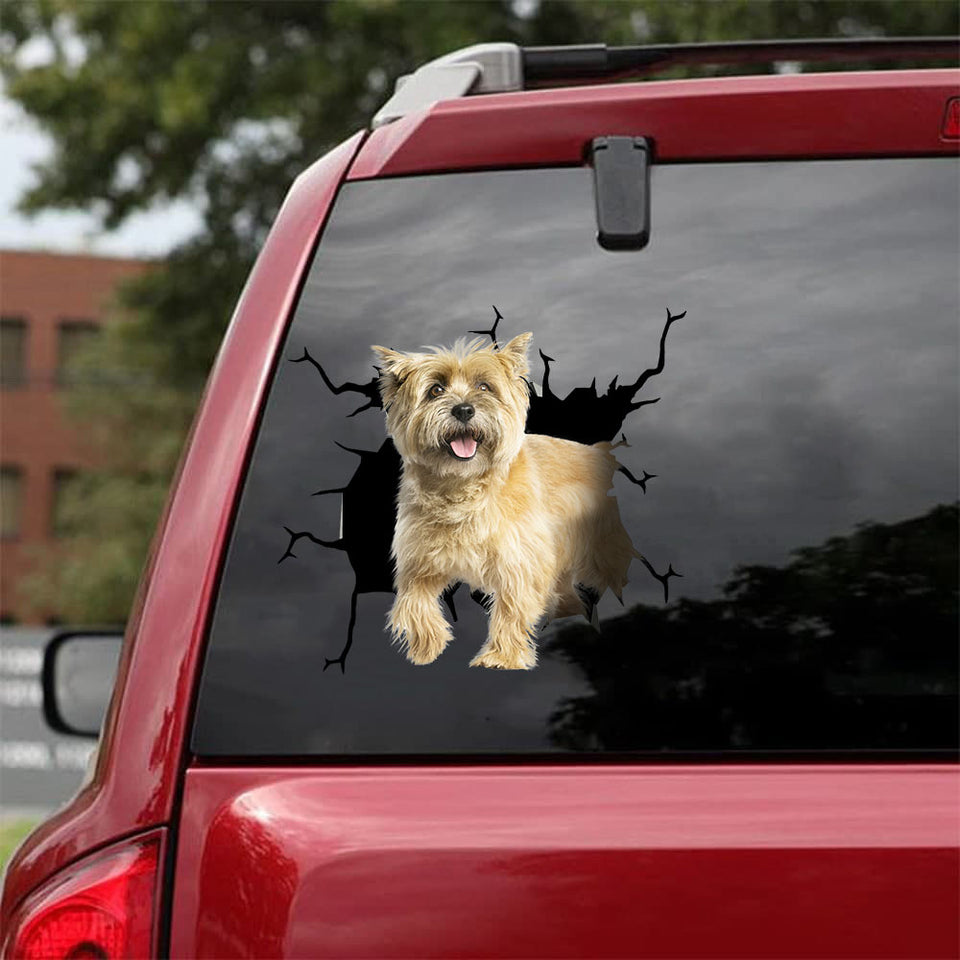[da1047-snf-lad]-cairn-terriers-crack-car-sticker-dogs-lover