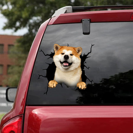[da1005-snf-tnt]-akita-crack-car-sticker-dogs-lover