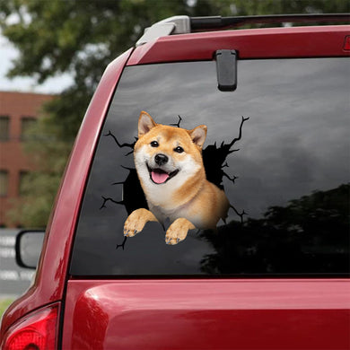 [da0991-snf-tnt]-shiba-inu-crack-car-sticker-dogs-lover