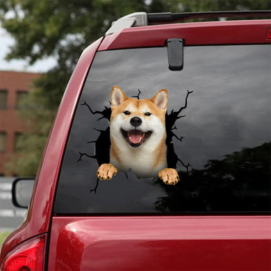 [da0993-snf-tnt]-shiba-inu-crack-car-sticker-dogs-lover