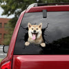[da0994-snf-tnt]-shiba-inu-crack-car-sticker-dogs-lover
