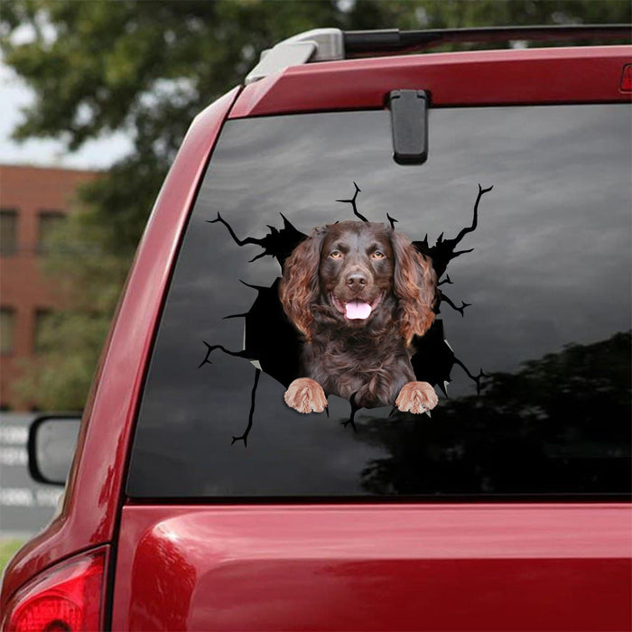 [bv0143-snf-tpa]-boykin-spaniel-crack-car-sticker-dogs-lover