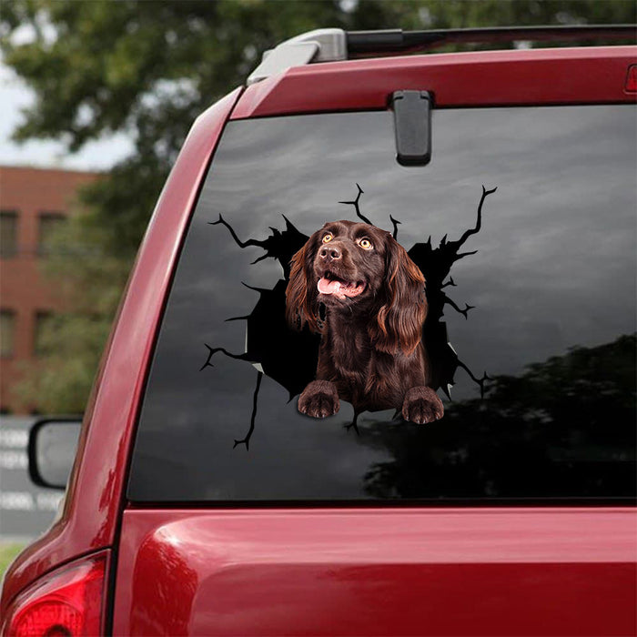 [bv0144-snf-tpa]-boykin-spaniel-crack-car-sticker-dogs-lover