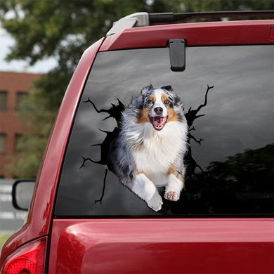 [ld0350-snf-lad]-australian-shepherd-crack-car-sticker-dogs-lover