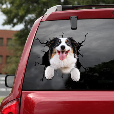 [ld0353-snf-lad]-australian-shepherd-crack-car-sticker-dogs-lover