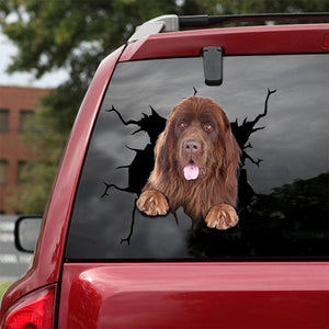 [ld0362-snf-tnt]-newfoundland-crack-car-sticker-dogs-lover