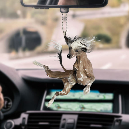chinese-crested-ornament-decorate-car