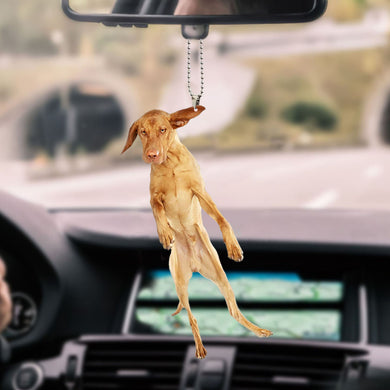 vizsla-ornament-decorate-car