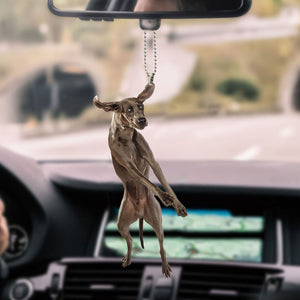 greyhound-decorate-car