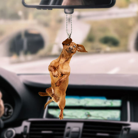 dachshund-decorate-car