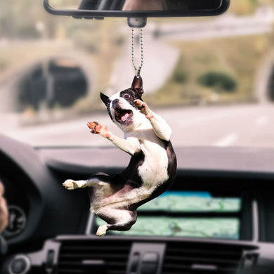 boston-terrier-decorate-car