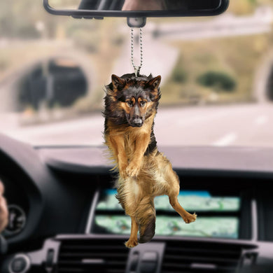 german-shepherd-decorate-car