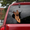 [ld1184-snf-lad]-german-shepherd-crack-car-sticker-dogs-lover