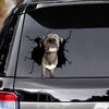 [ld1239-snf-lad]-irish-wolfhounds-crack-car-sticker-dogs-lover