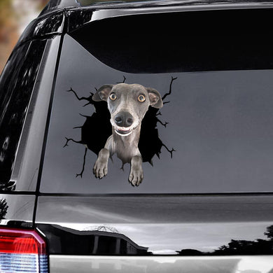 [ld1229-snf-lad]-whippets-crack-car-sticker-dogs-lover