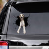 [ld1230-snf-lad]-whippets-crack-car-sticker-dogs-lover