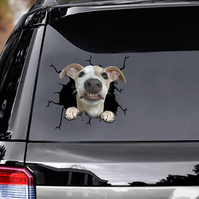 [ld1231-snf-lad]-whippets-crack-car-sticker-dogs-lover