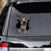 [ld1232-snf-lad]-whippets-crack-car-sticker-dogs-lover