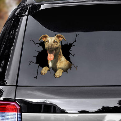 [ld1234-snf-lad]-whippets-crack-car-sticker-dogs-lover