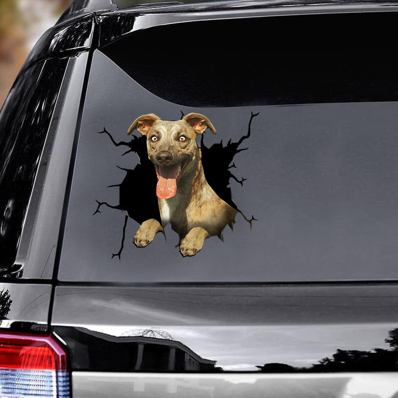 [ld1234-snf-lad]-whippets-crack-car-sticker-dogs-lover