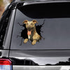 [ld1234-snf-lad]-whippets-crack-car-sticker-dogs-lover