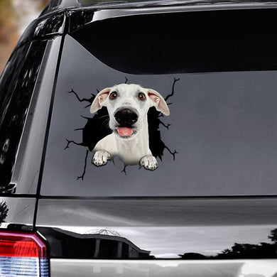 [ld1236-snf-lad]-whippets-crack-car-sticker-dogs-lover