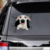 [ld1236-snf-lad]-whippets-crack-car-sticker-dogs-lover