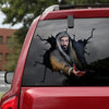 [da0119-snf-ptd]god-crack-car-sticker-
