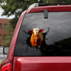 [th0293-snf-ptd]-dairy-cow-crack-car-sticker-cows-lover