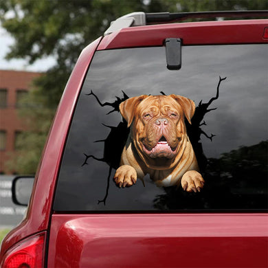 [da0115-snf-tpa]-dogue-de-bordeaux-crack-car-sticker-dogs-lover