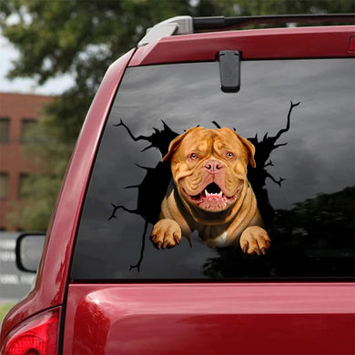 [da0116-snf-tpa]-dogue-de-bordeaux-crack-car-sticker-dogs-lover