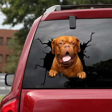 [da0118-snf-tpa]-dogue-de-bordeaux-crack-car-sticker-dogs-lover