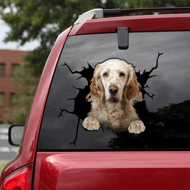 [da0113-snf-tpa]-english-setter-crack-car-sticker-dogs-lover