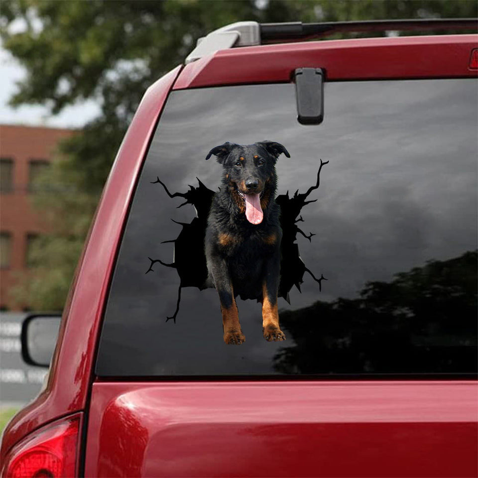 [da1076-snf-lad]-beauceron-crack-car-sticker-dogs-lover