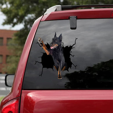 [da1079-snf-lad]-beauceron-crack-car-sticker-dogs-lover